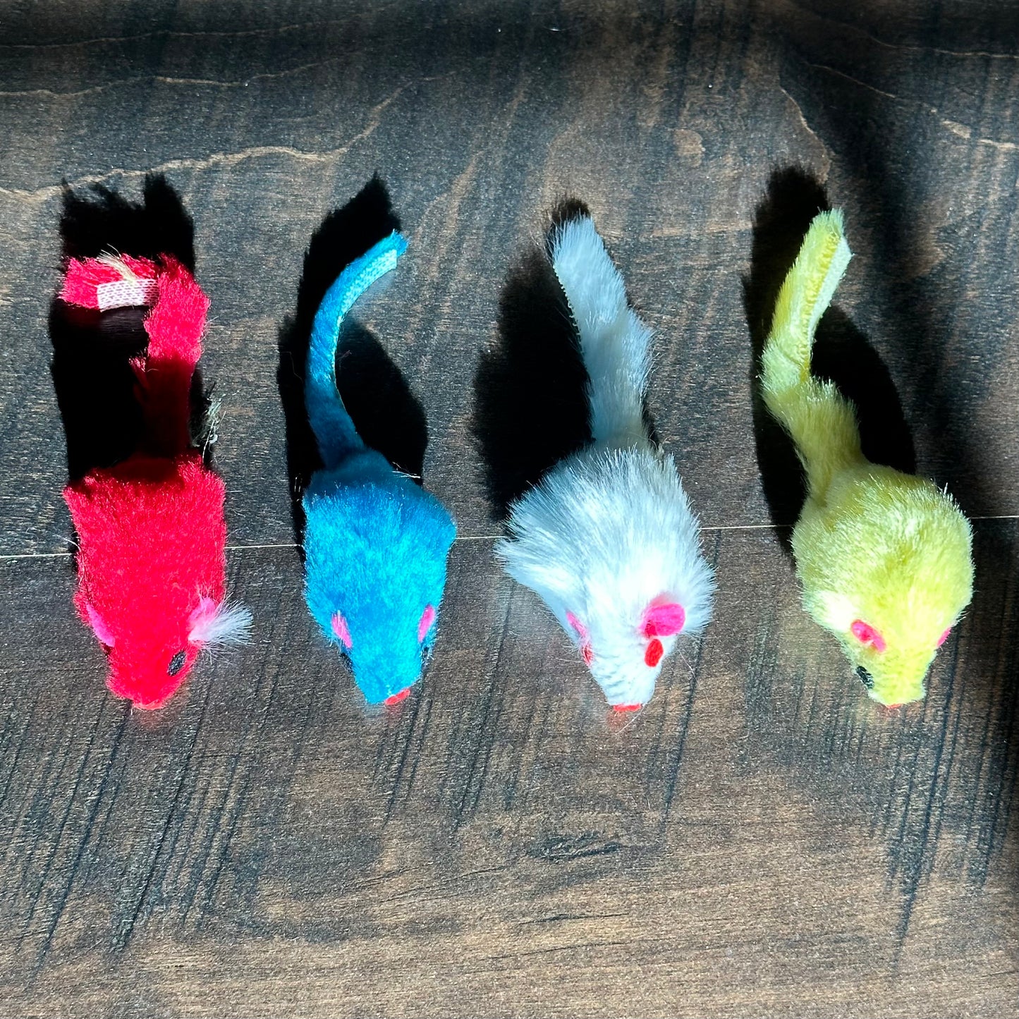 Kitty Mouse