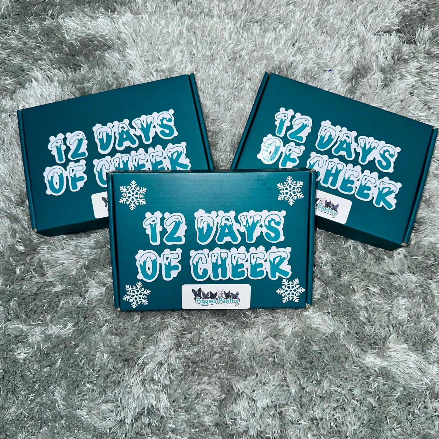 12 Days of Cheer Holiday Box