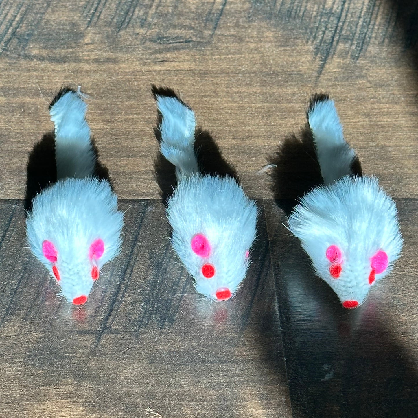 Kitty Mouse