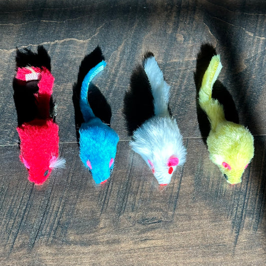 Kitty Mouse