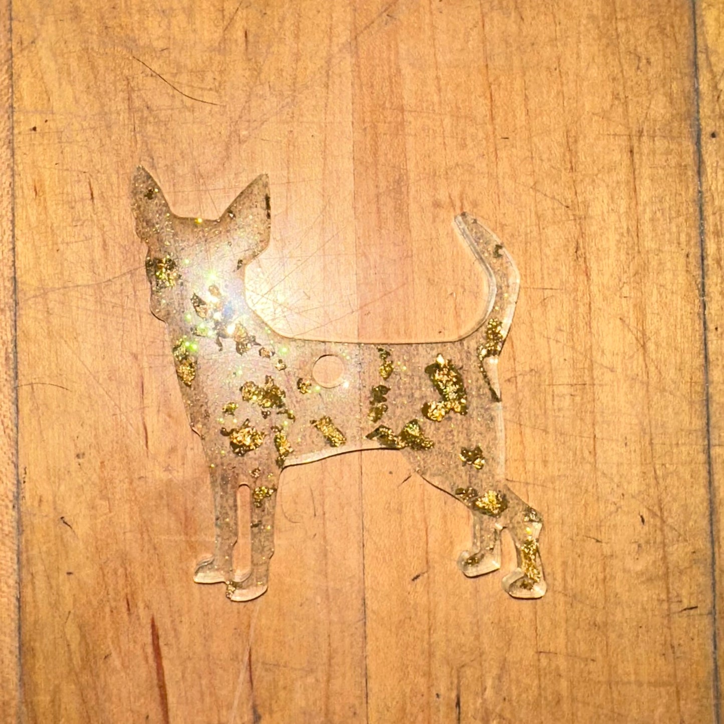 Chihuahua